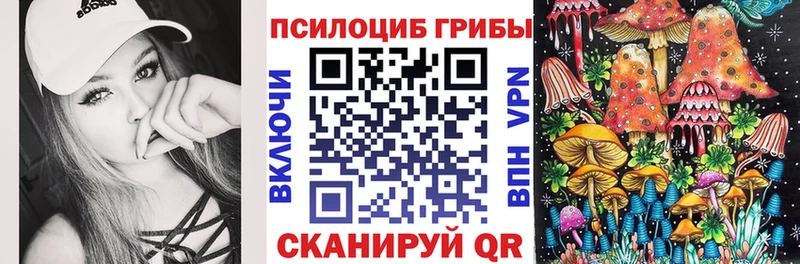 хочу наркоту  Михайловск  Галлюциногенные грибы мицелий 